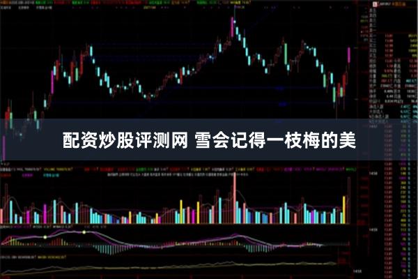 配资炒股评测网 雪会记得一枝梅的美